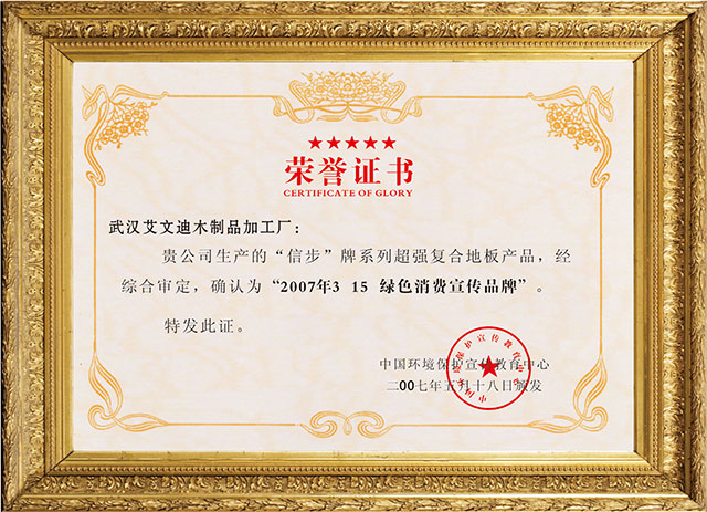 强化木地板品牌4